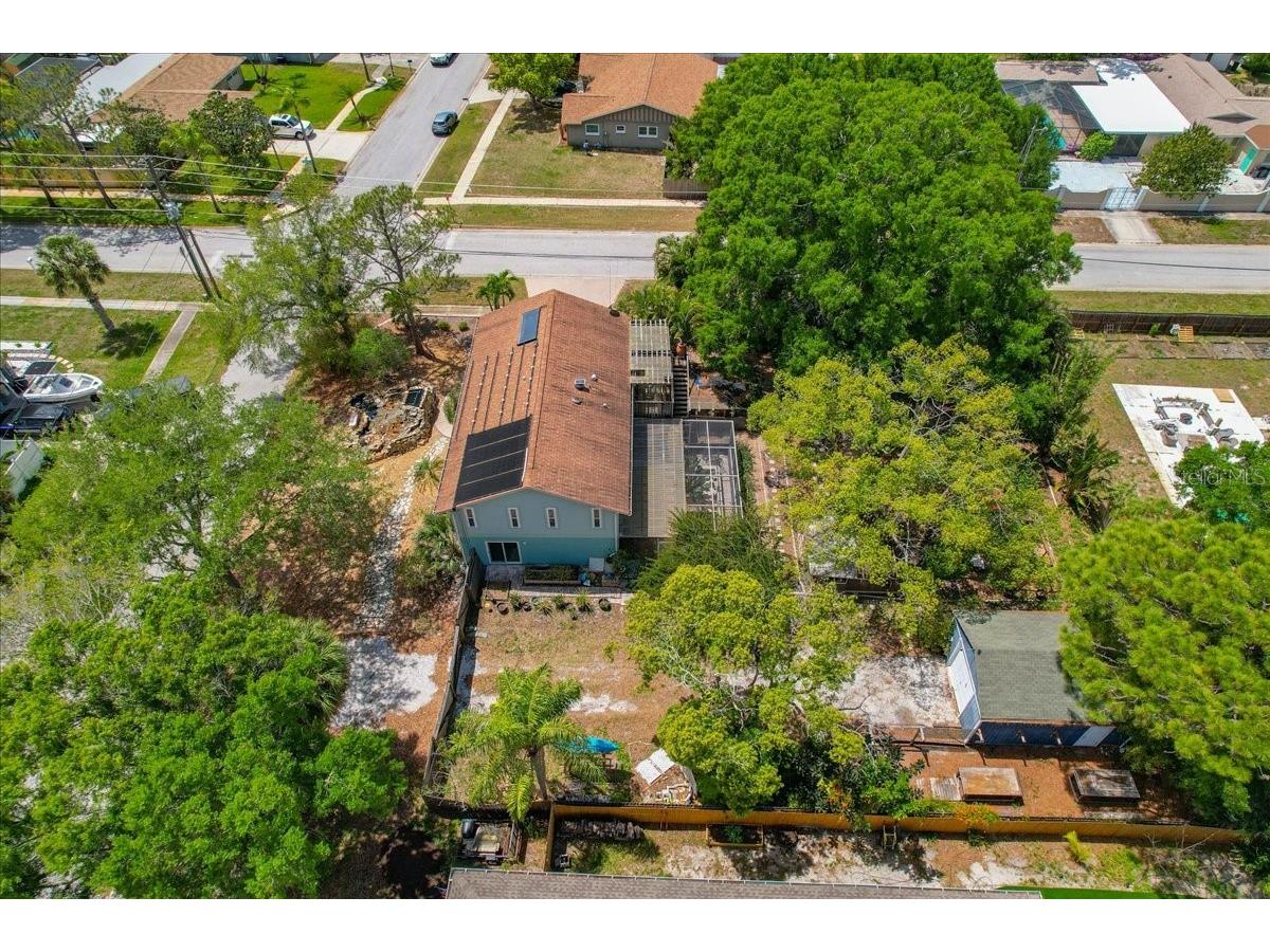 1314 Oleander Drive Tarpon Springs FL 34689 W7884679 image8