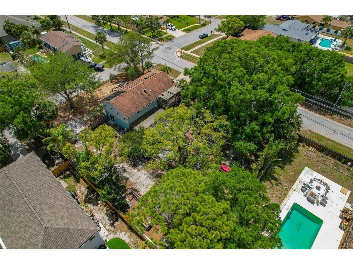 1314 Oleander Drive Tarpon Springs FL 34689 W7884679 image9