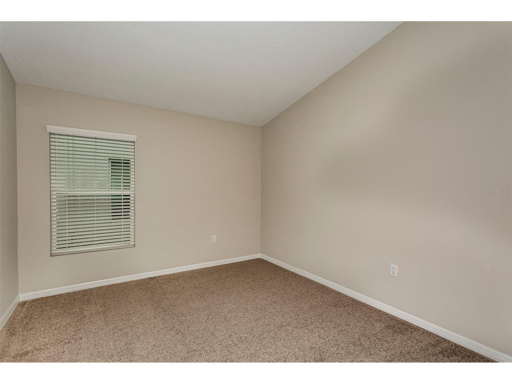 1314 Palmeroy Road Haines City FL 33844 TB8458504 image12