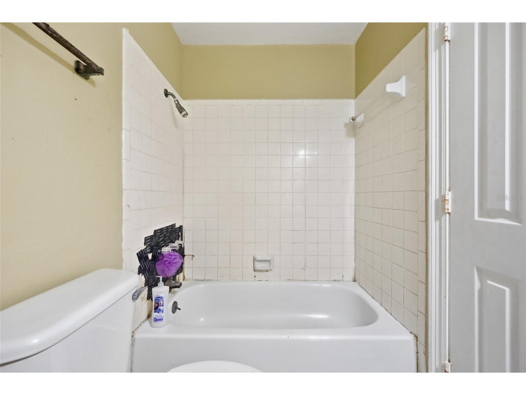 1314 Robie Avenue Mount Dora FL 32757 O6385366 image30