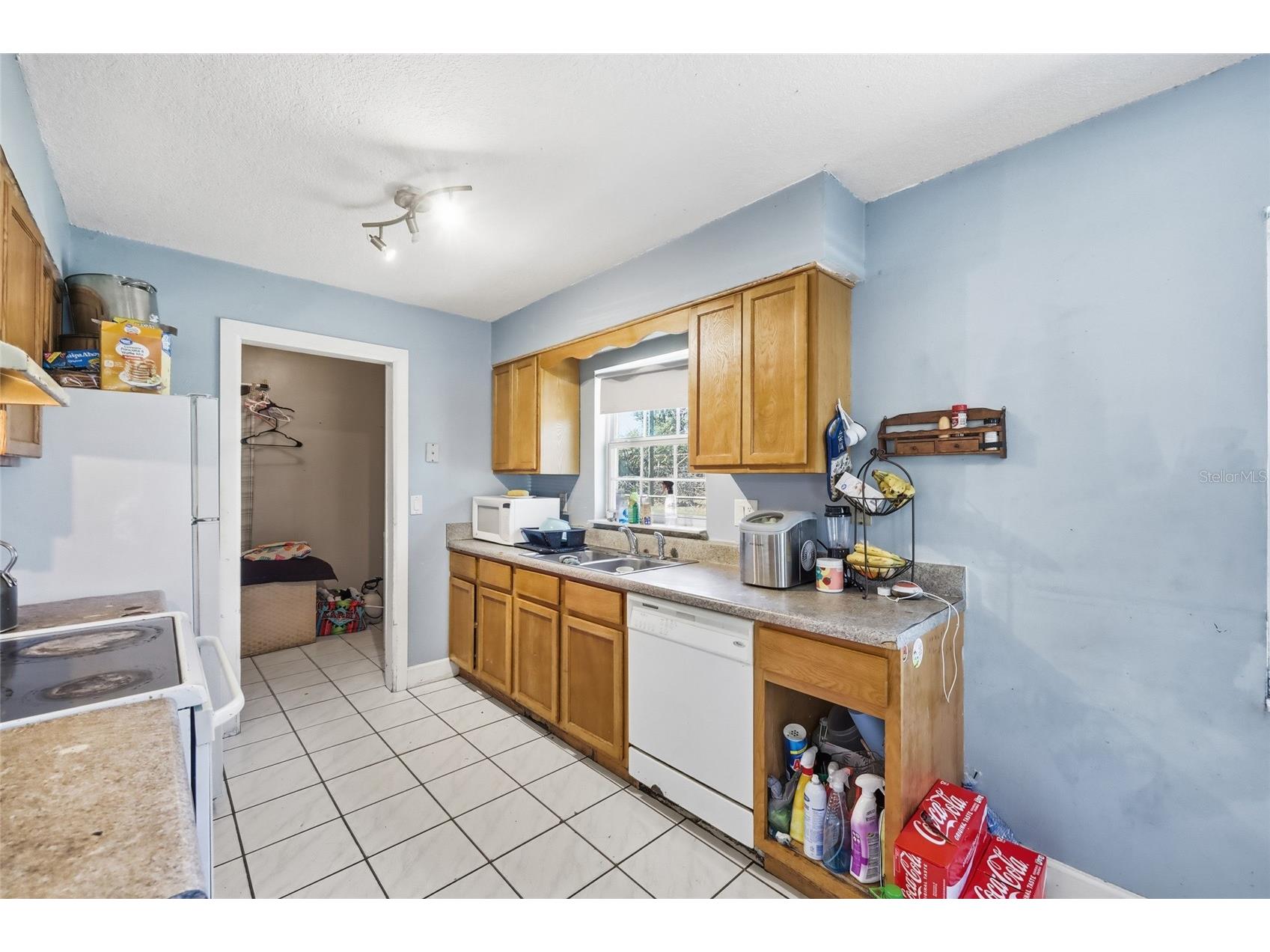 1314 Robie Avenue Mount Dora FL 32757 O6385366 image4