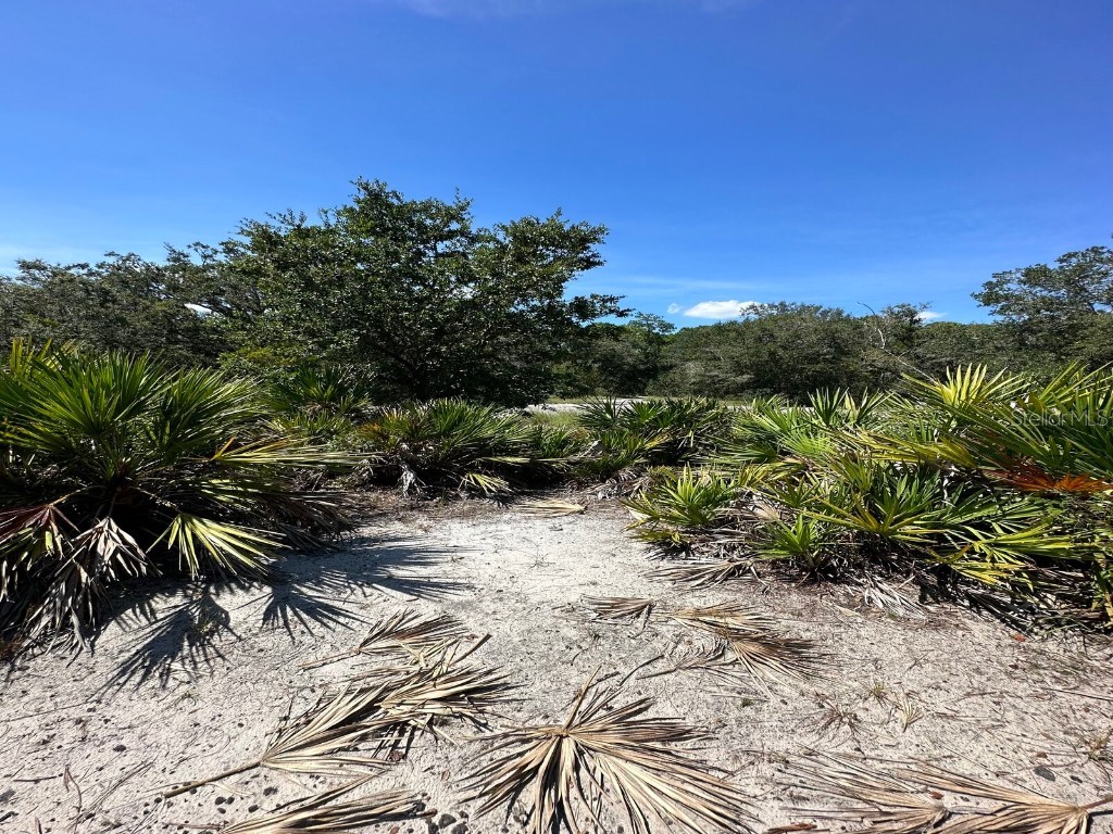 1314 Rutledge Avenue Lake Placid FL 33852 O6144078 image1