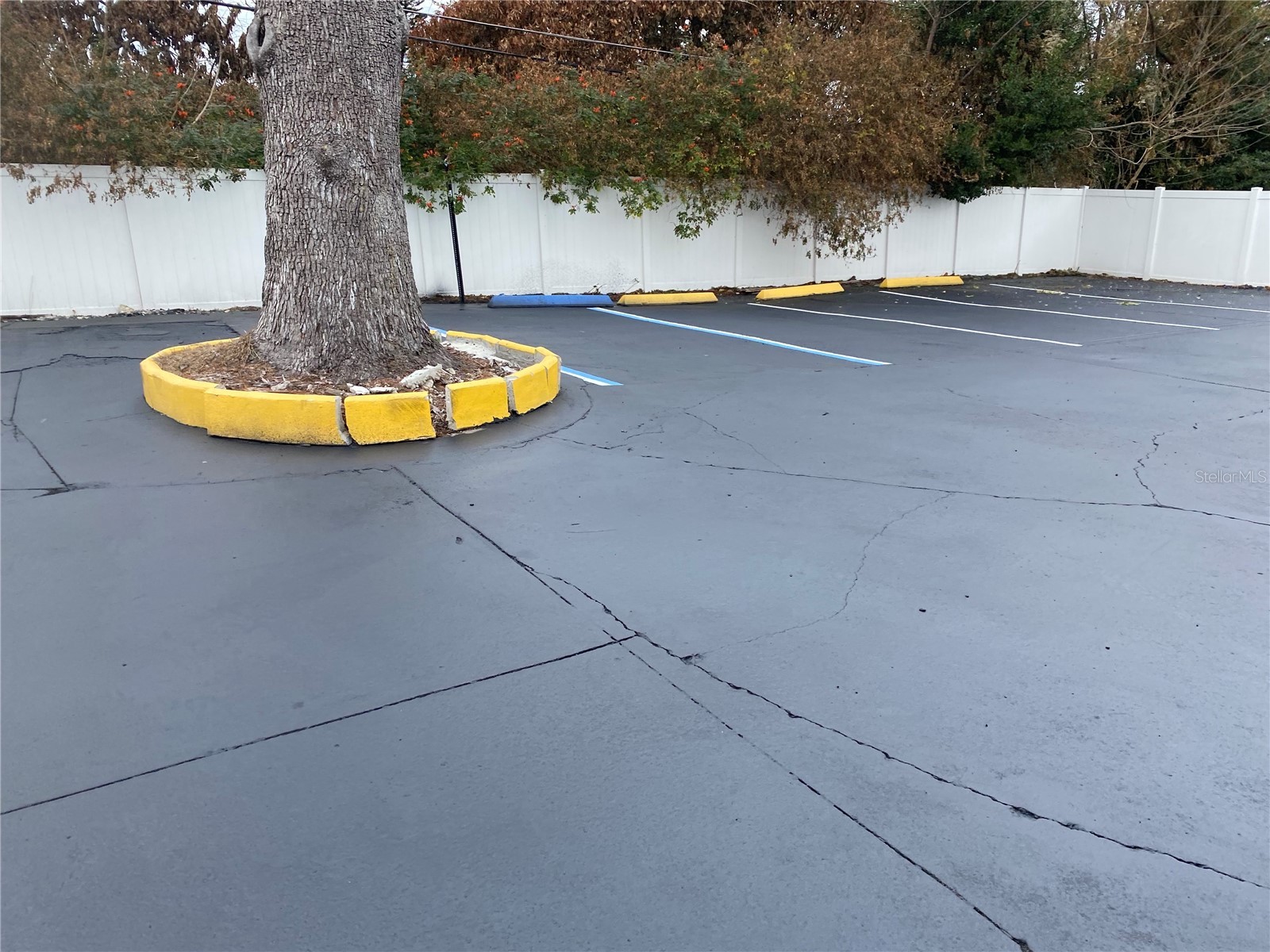 1314 S Semoran Boulevard Orlando FL 32807 O6346437 image18