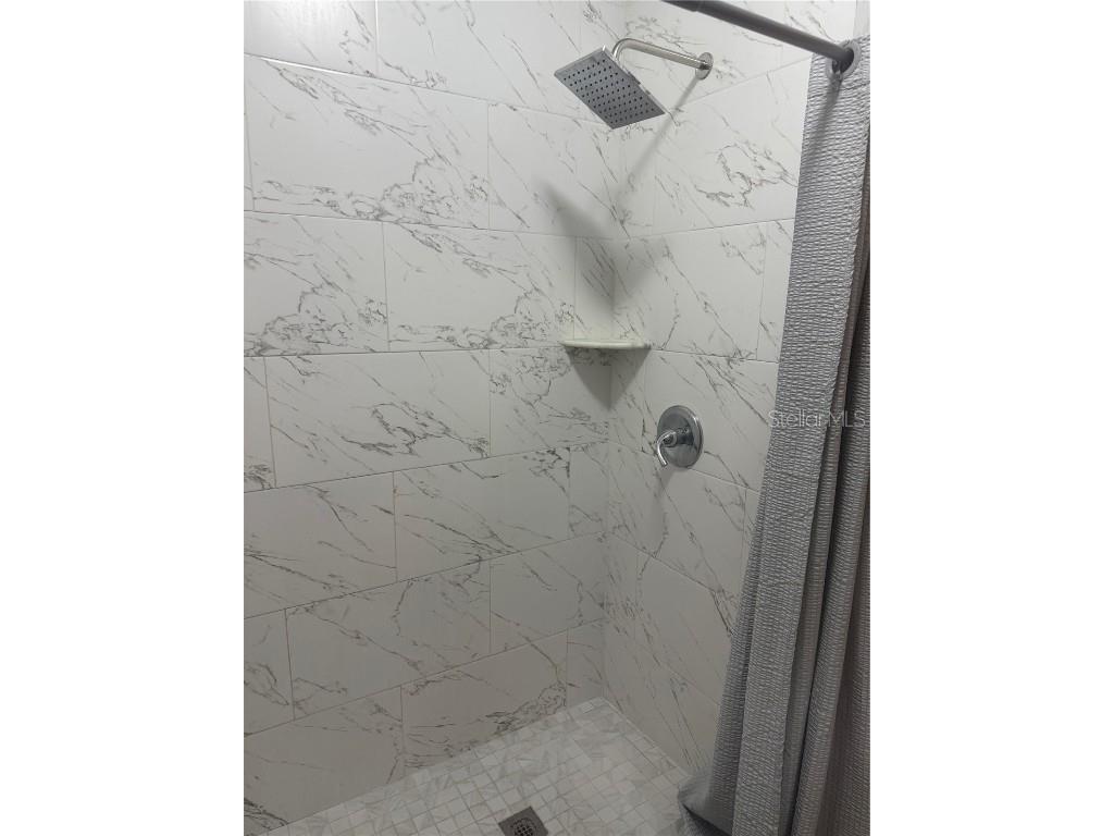 1314 W Carissa Court Tampa FL 33604 TB8417638 image27