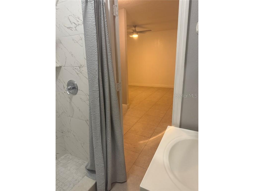 1314 W Carissa Court Tampa FL 33604 TB8417638 image29