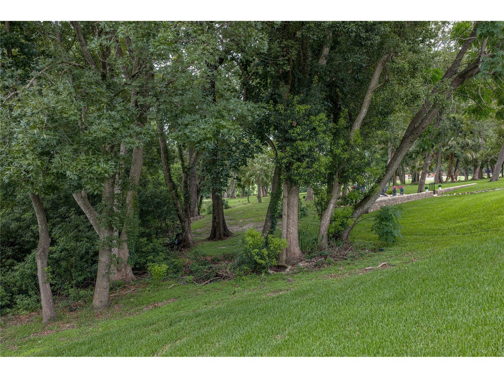 13140 Tradition Drive Dade City FL 33525 TB8529985 image60