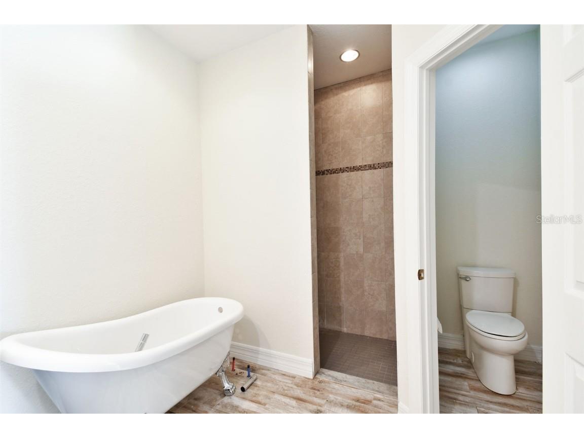 13141 Palmilla Circle Dade City FL 33525 TB8321573 image33