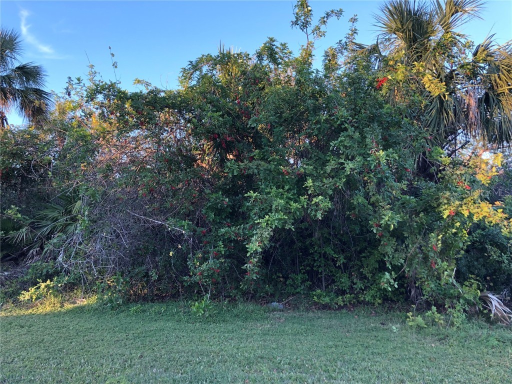 13142 Gotham Avenue Port Charlotte FL 33953 C7469877 image1