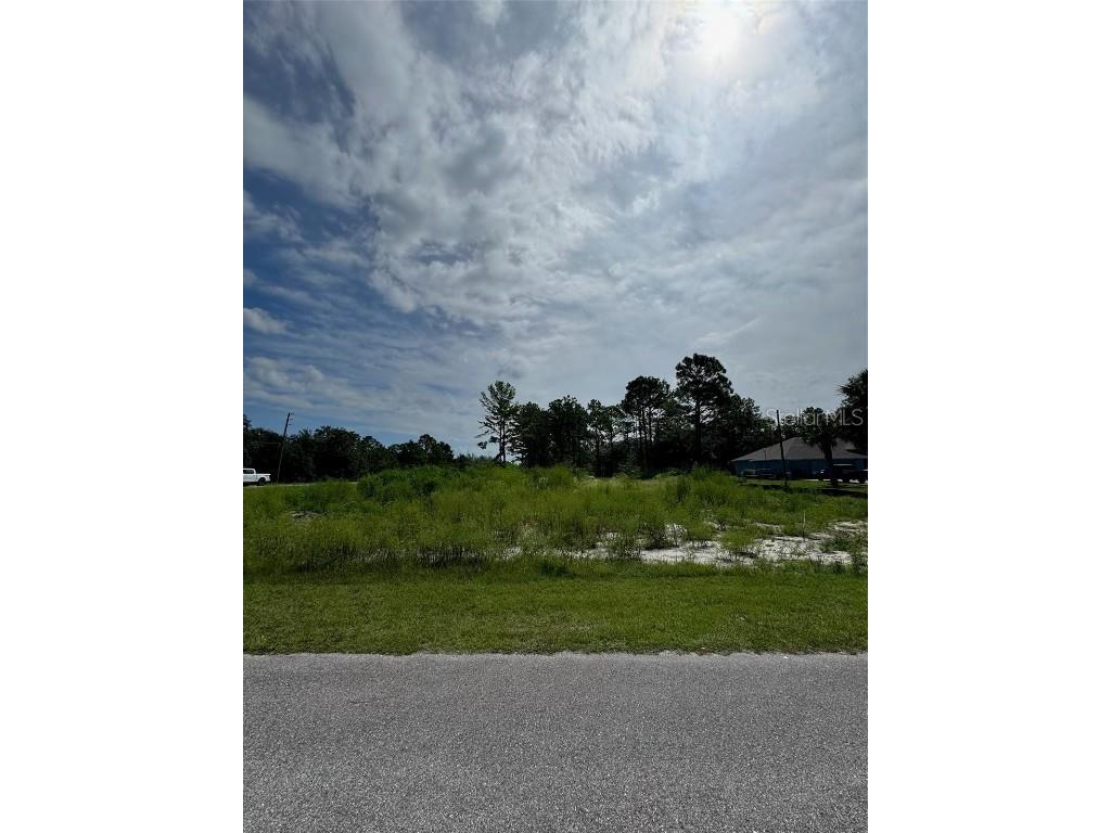 13142 Mottled Duck Rd Road Weeki Wachee FL 34614 TB8443449 image1