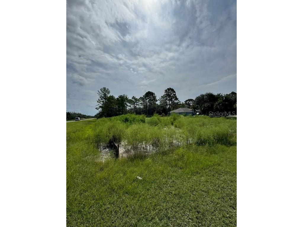 13142 Mottled Duck Rd Road Weeki Wachee FL 34614 TB8443449 image2