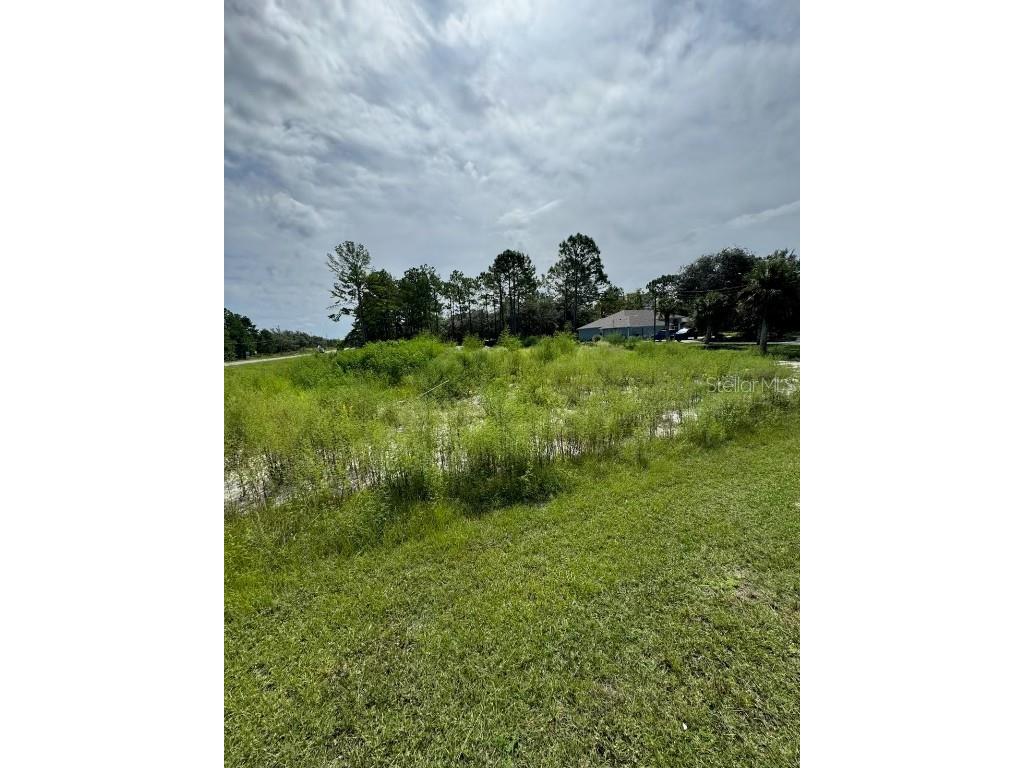 13142 Mottled Duck Rd Road Weeki Wachee FL 34614 TB8443449 image3