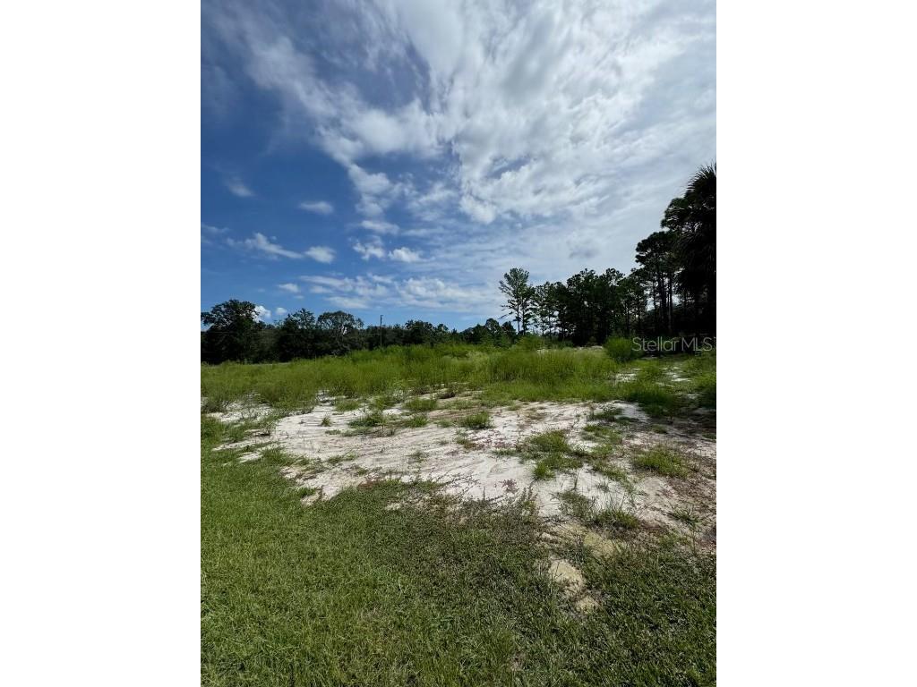 13142 Mottled Duck Rd Road Weeki Wachee FL 34614 TB8443449 image4