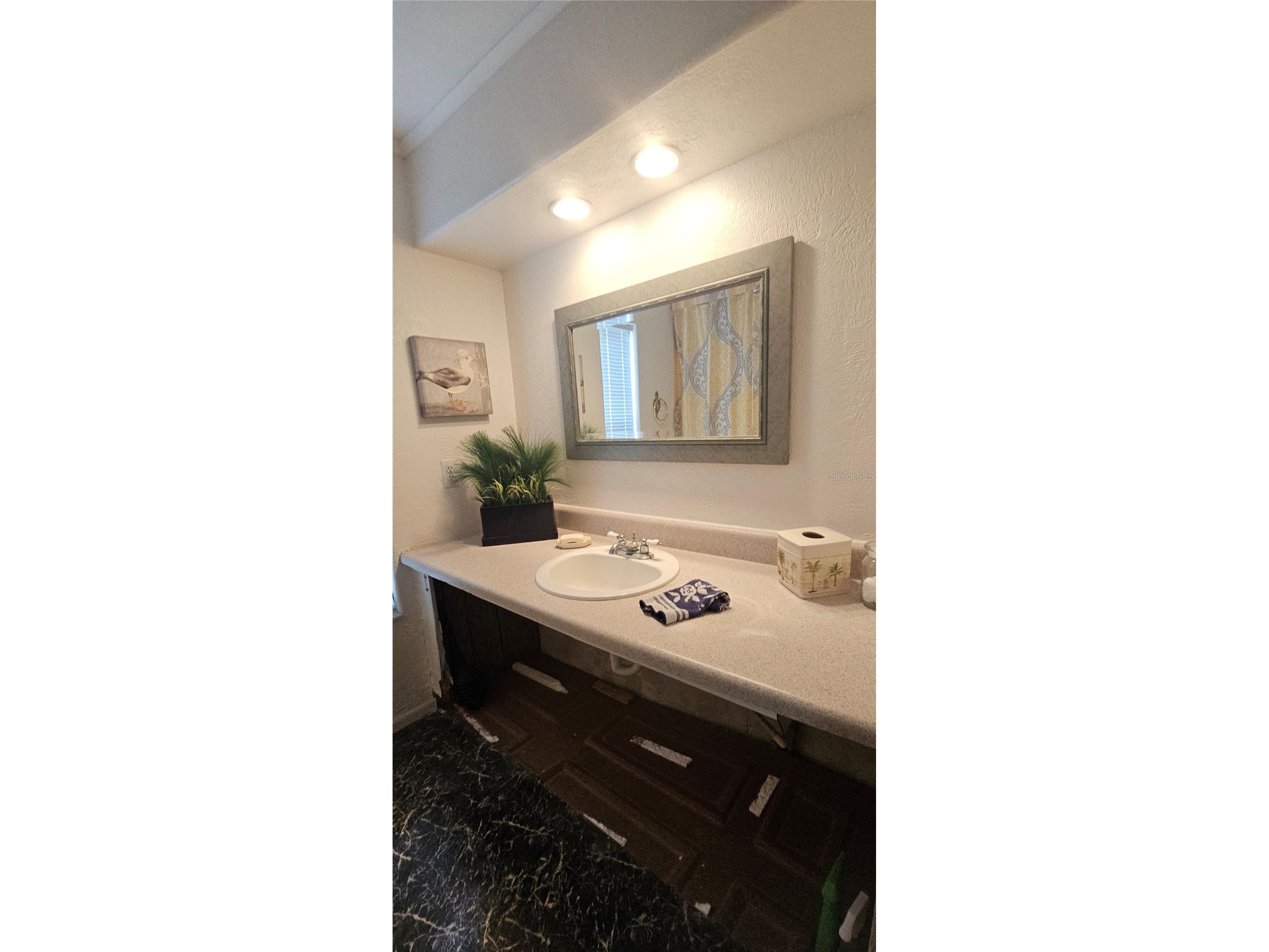 13144 Coxswain Court Hudson FL 34667 TB8493553 image48