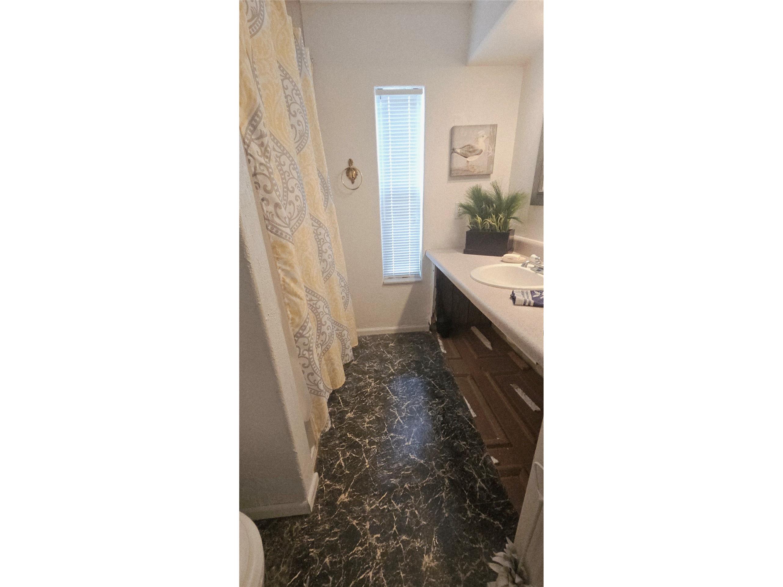 13144 Coxswain Court Hudson FL 34667 TB8493553 image49