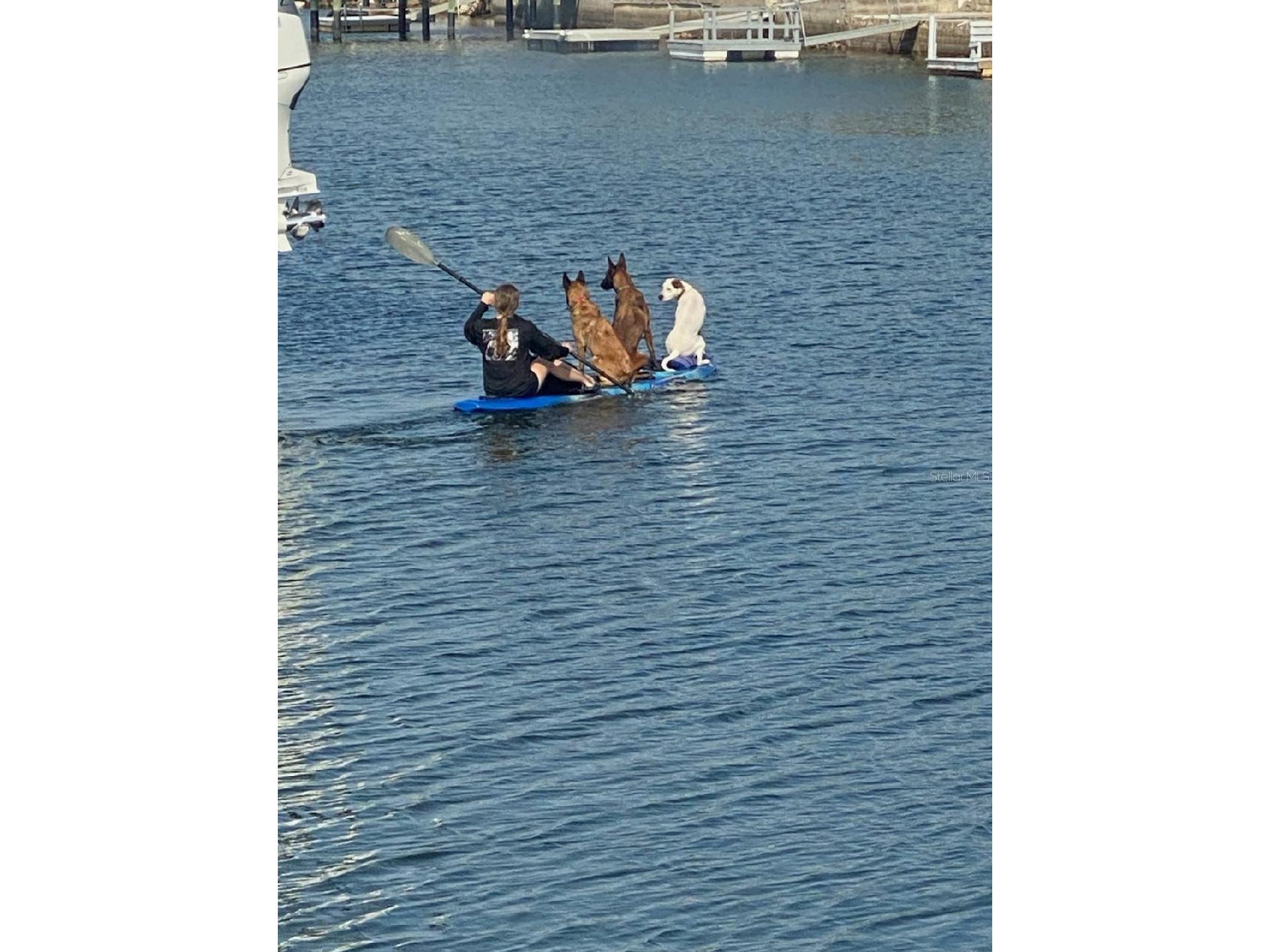 13144 Coxswain Court Hudson FL 34667 TB8493553 image81