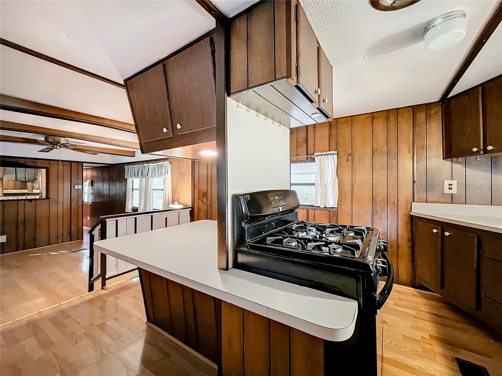 13145 Plum Lake Cir Minneola FL 34715 - PLUM LAKE G5108547 image12