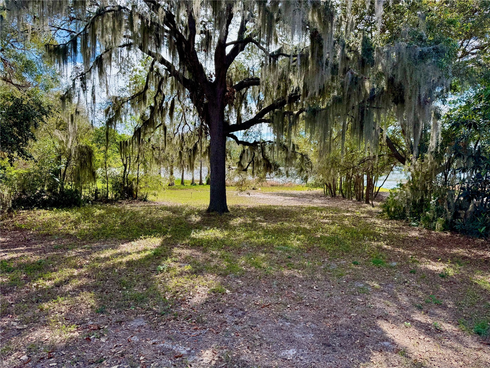 13145 Plum Lake Cir Minneola FL 34715 - PLUM LAKE G5108547 image27