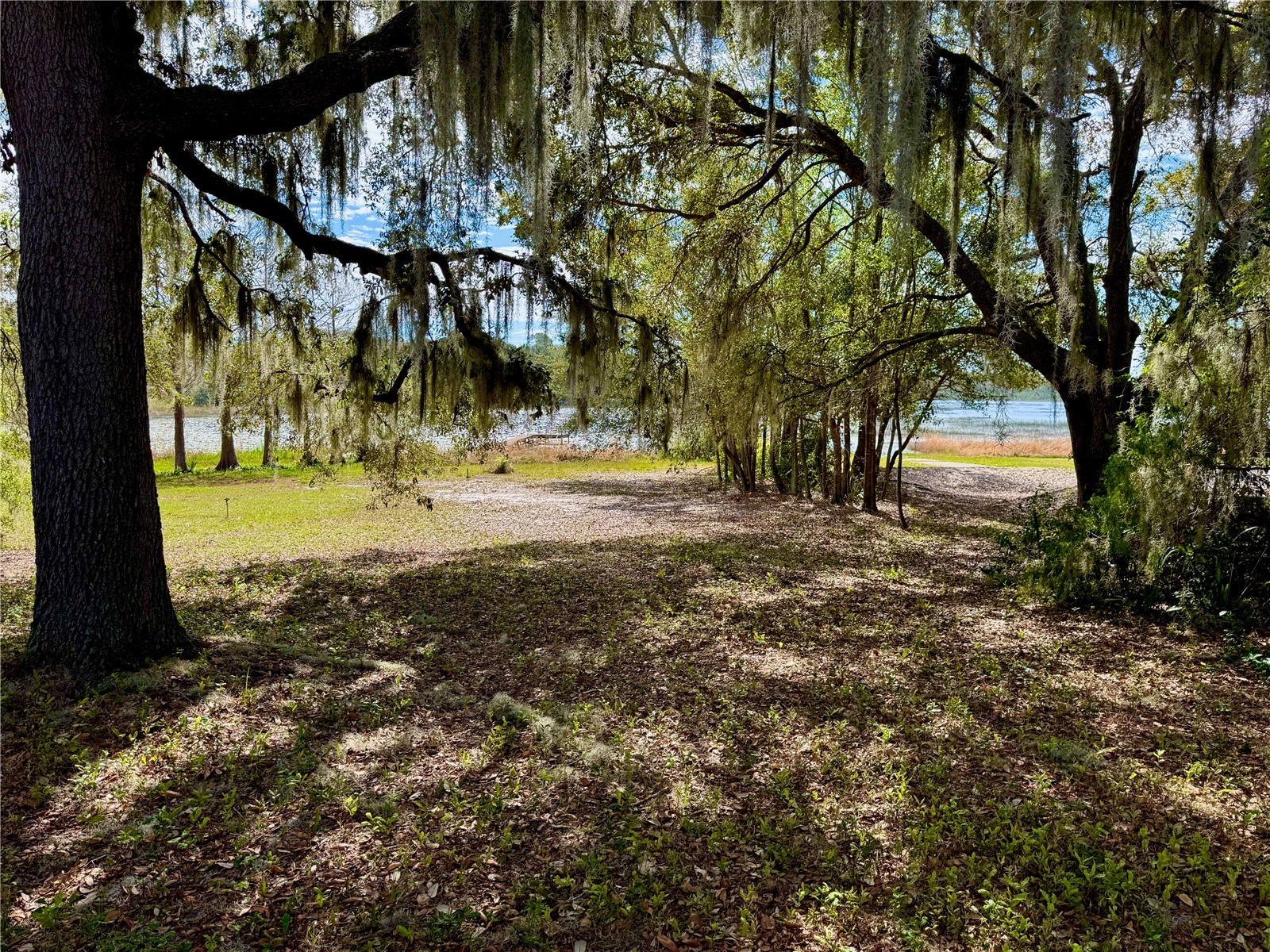 13145 Plum Lake Cir Minneola FL 34715 - PLUM LAKE G5108547 image31