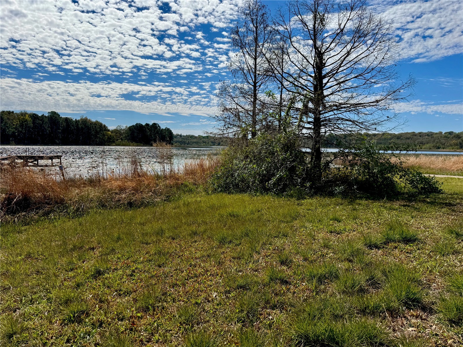 13145 Plum Lake Cir Minneola FL 34715 - PLUM LAKE G5108547 image5