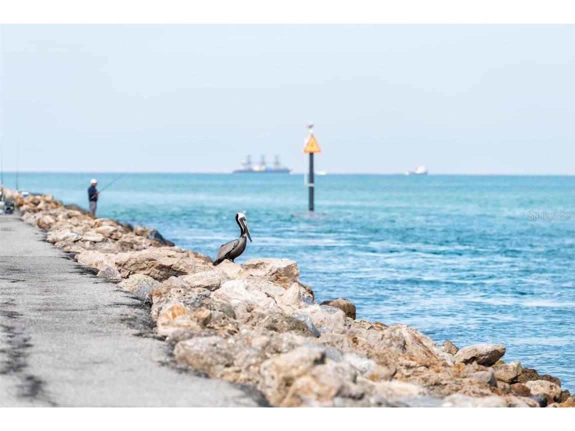 13145 Steinhatchee Loop Venice FL 34293 A4669263 image52