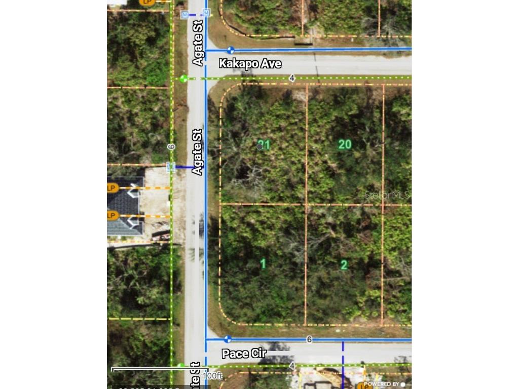 13147 Kakapo Avenue Port Charlotte FL 33981 C7512412 image4