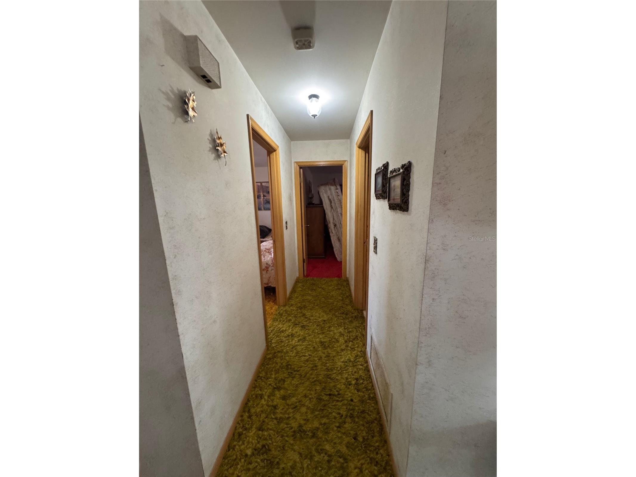13147 Suburban Terrace Winter Garden FL 34787 G5110298 image10