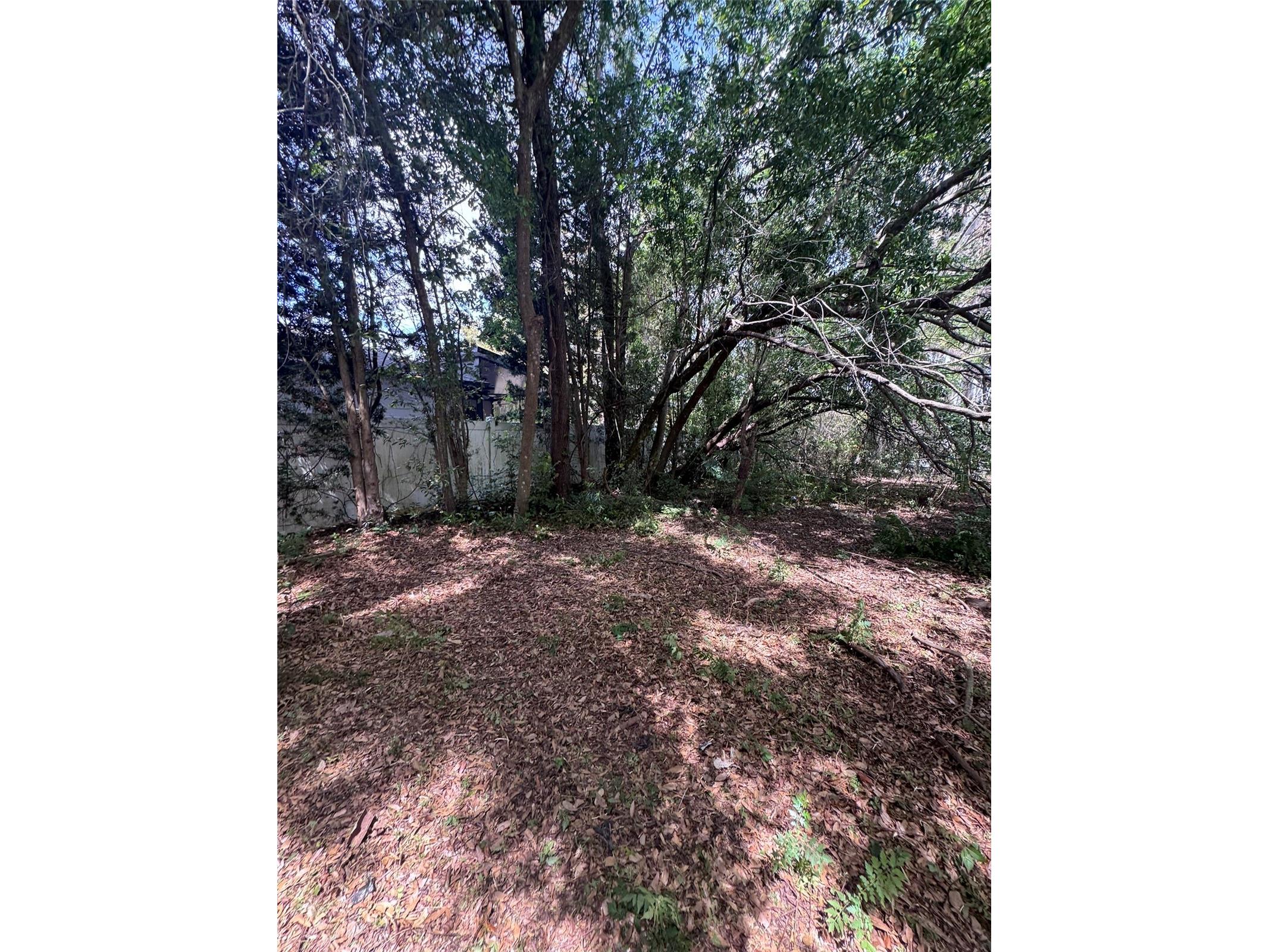 13147 Suburban Terrace Winter Garden FL 34787 G5110298 image33