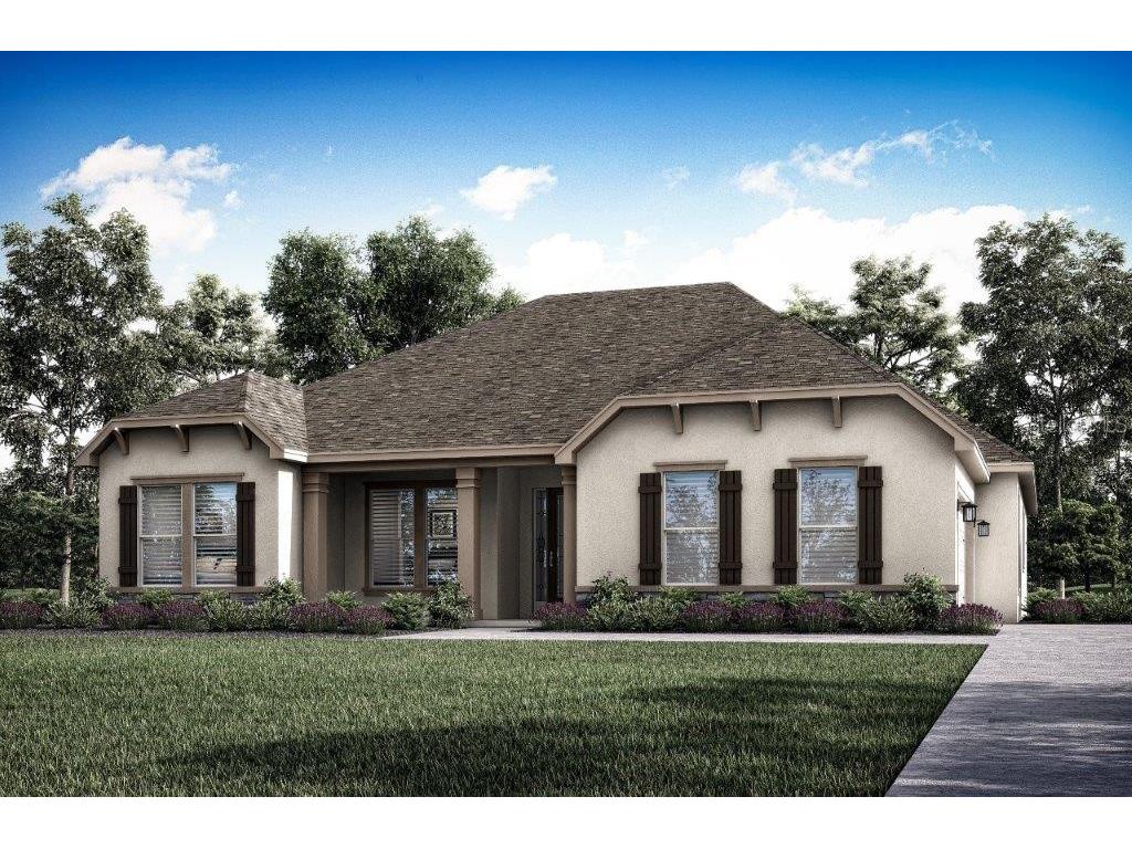 13148 Oldenburg Drive Hudson FL 34667 T3489813 image1