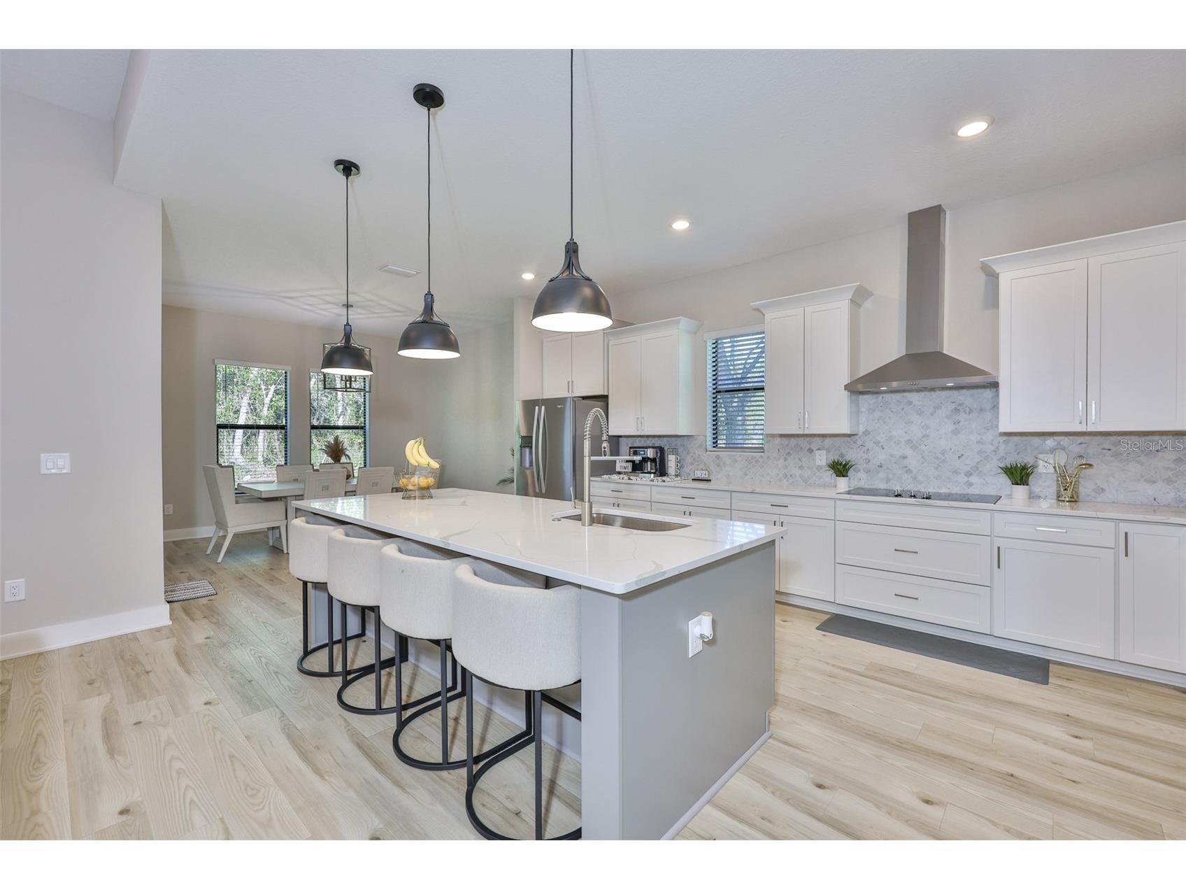 13148 Oldenburg Drive Hudson FL 34667 TB8511125 image9