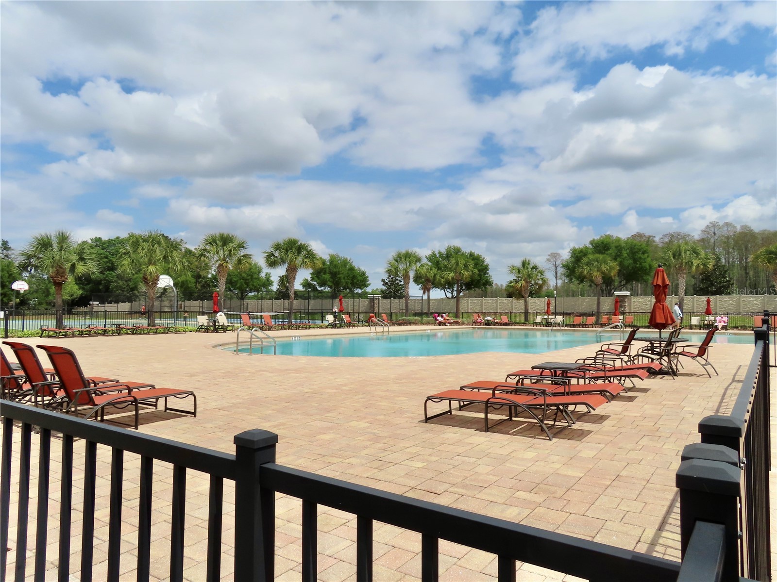 13149 Conquistador Loop Spring Hill FL 34610 TB8490740 image27