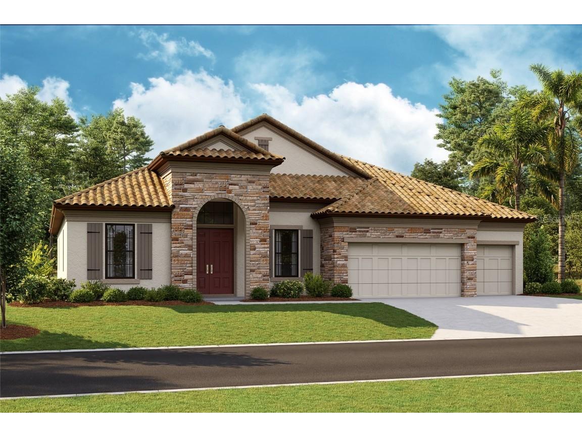13149 Pasture View Loop Riverview FL 33579 T3475415 image1