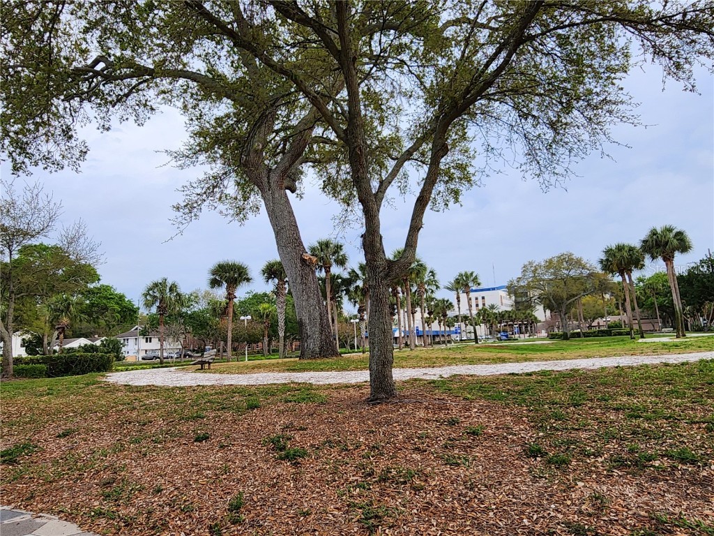 1315 9th Avenue N Saint Petersburg FL 33705 U8233848 image83