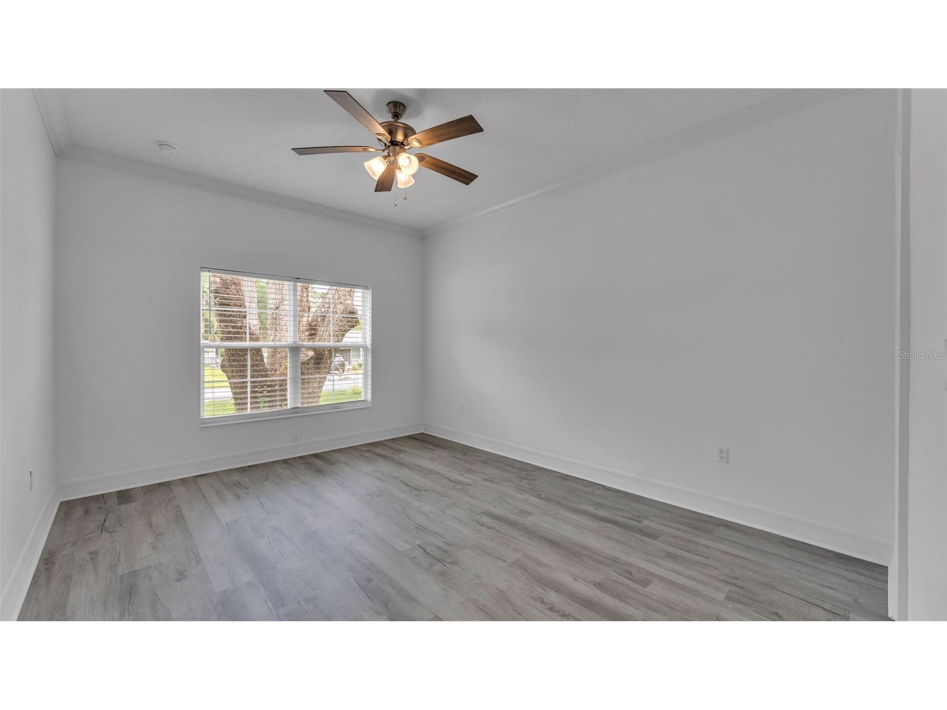 1315 E Frances Ave Plant City FL 33563 L4960835 image20