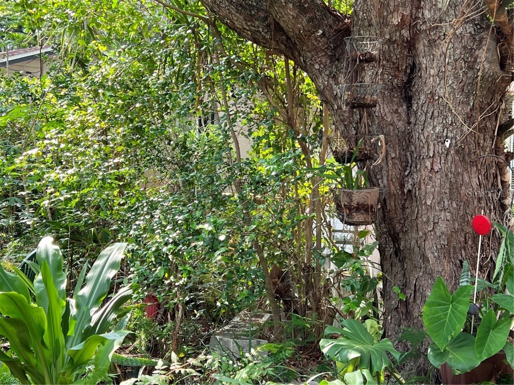 1315 E Harding Street Orlando FL 32806 O6118295 image1