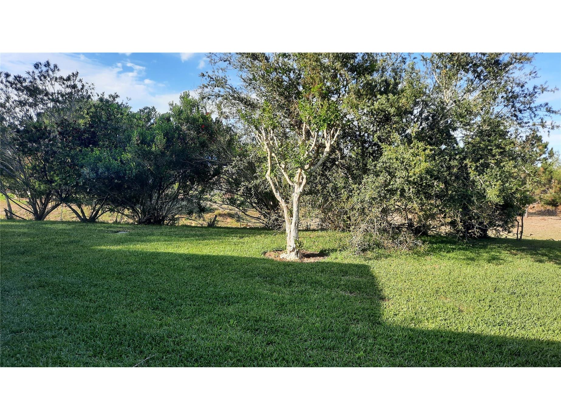 1315 Elli Circle Ormond Beach FL 32174 FC318999 image3