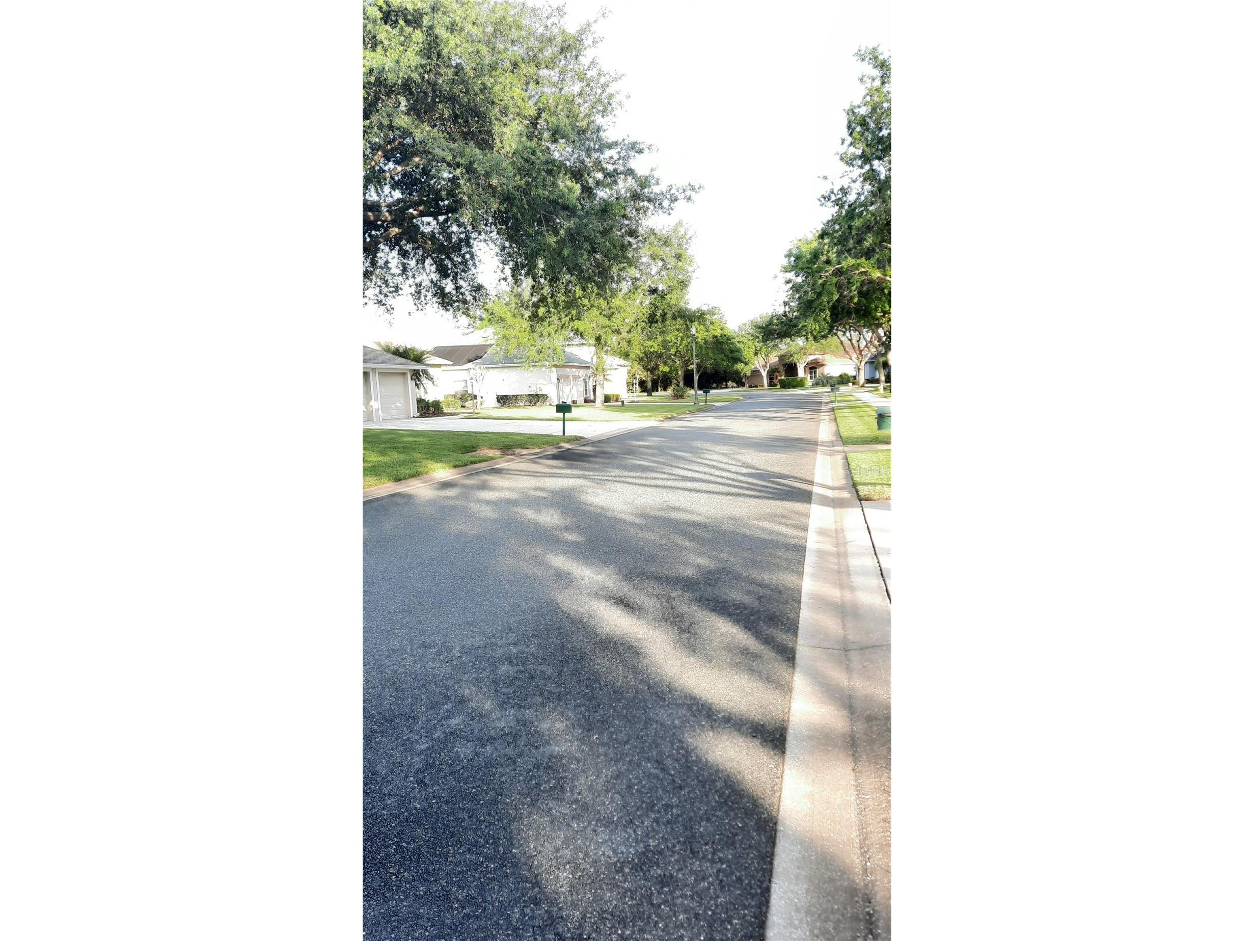 1315 Elli Circle Ormond Beach FL 32174 FC318999 image38