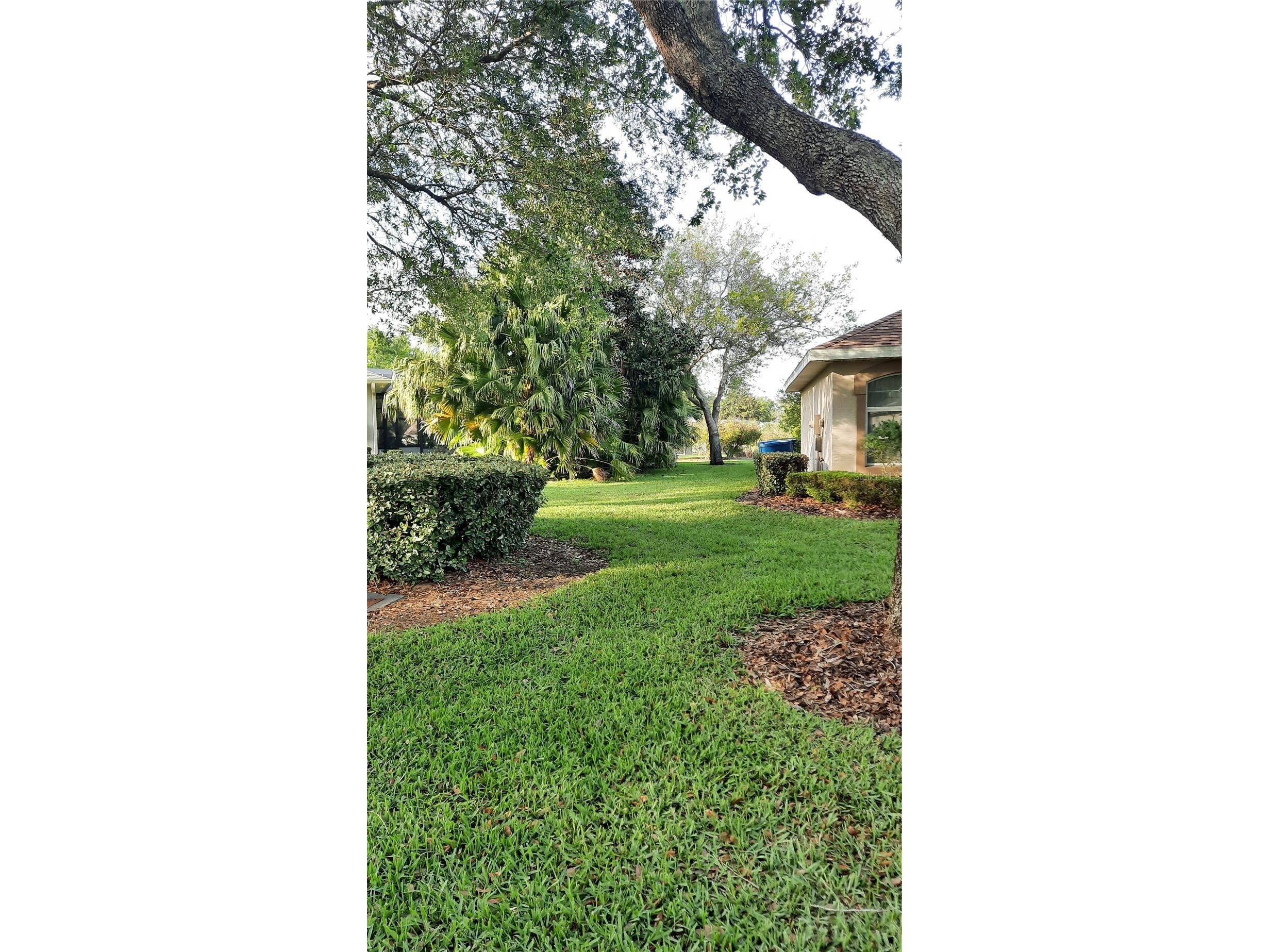 1315 Elli Circle Ormond Beach FL 32174 FC318999 image5