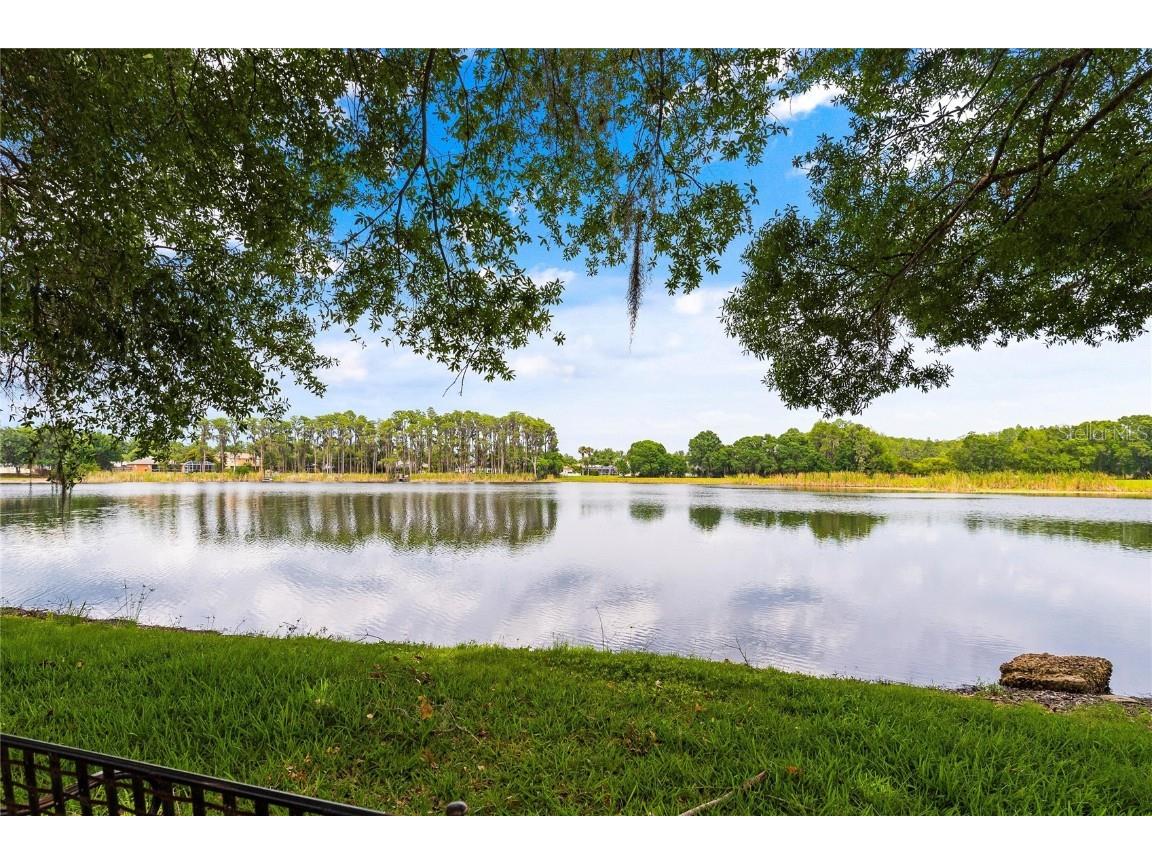 1315 Loretto Circle Odessa FL 33556 TB8437132 image22