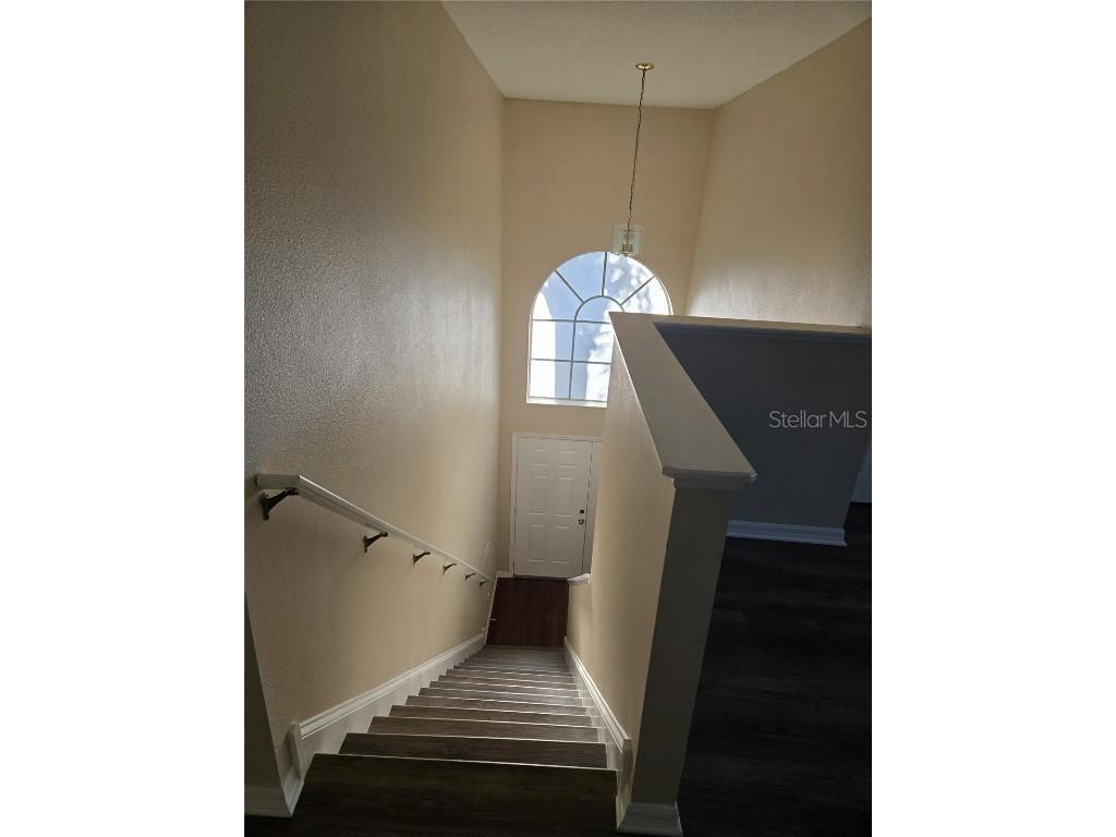 1315 Loretto Circle Odessa FL 33556 TB8437132 image35