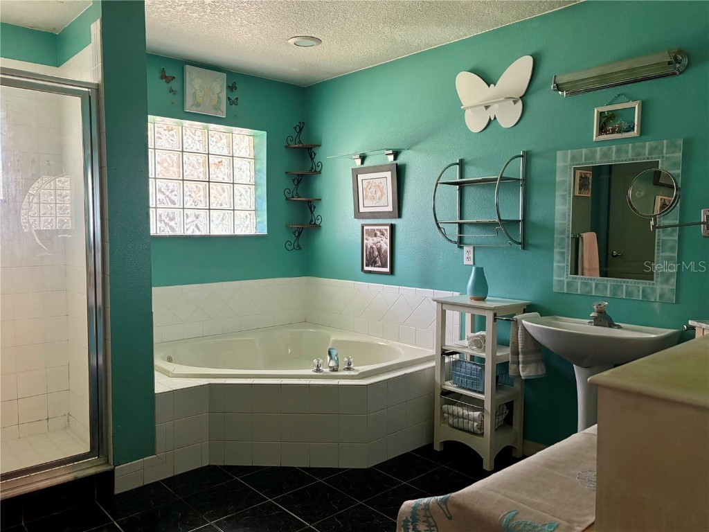 1315 Patricia Street Kissimmee FL 34744 S5137111 image13