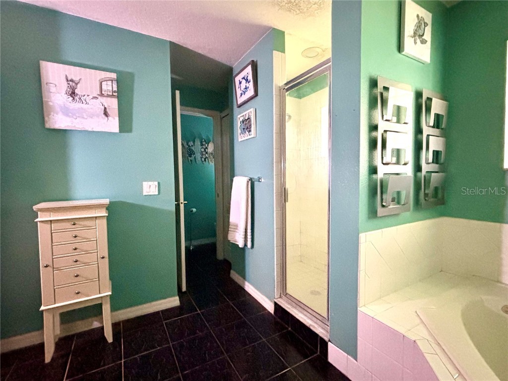 1315 Patricia Street Kissimmee FL 34744 S5137111 image15