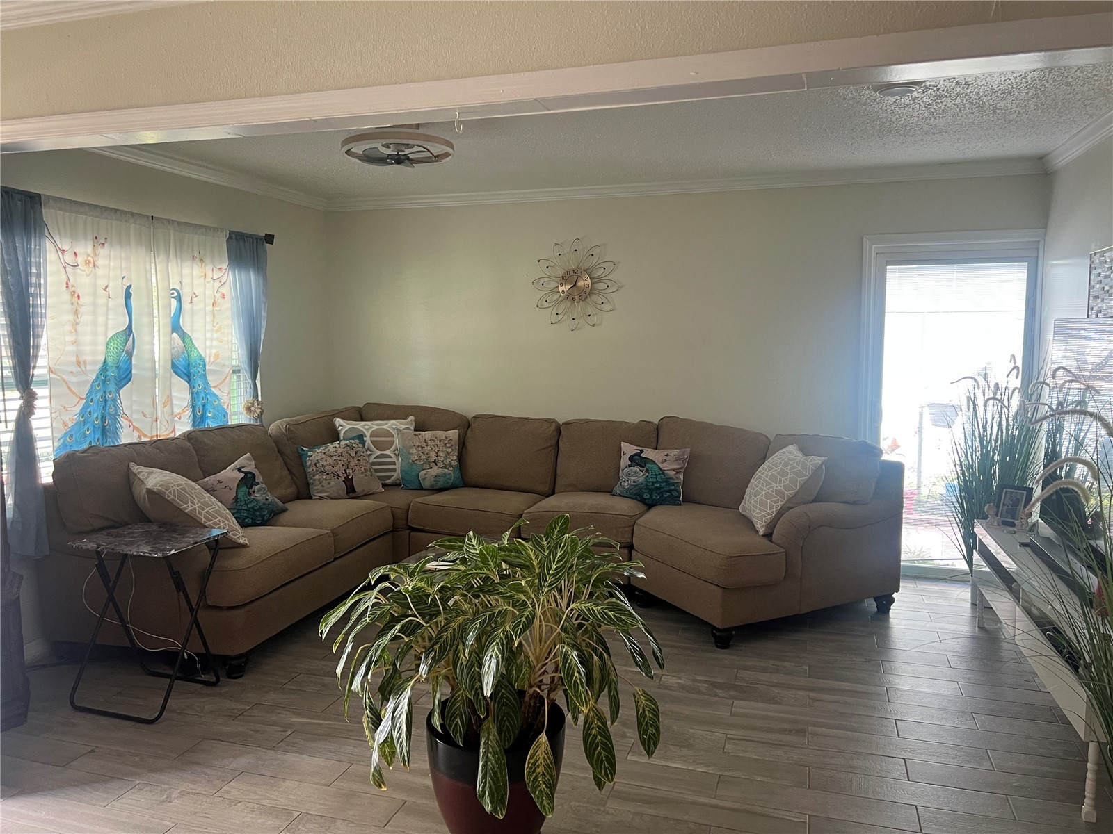 1315 Poppy Avenue Orlando FL 32811 S5140365 image5