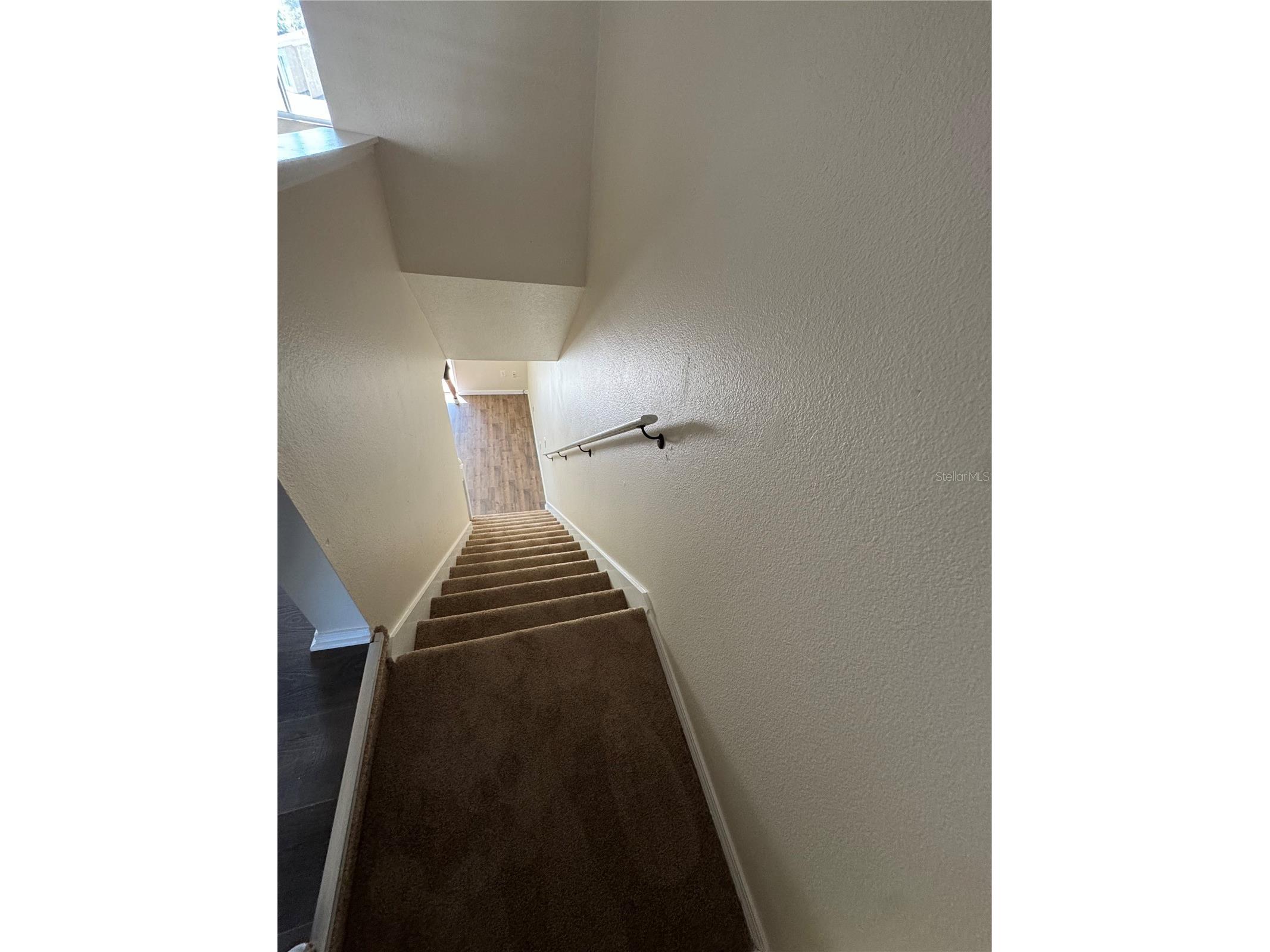 1315 Standridge Drive Wesley Chapel FL 33543 TB8491755 image11