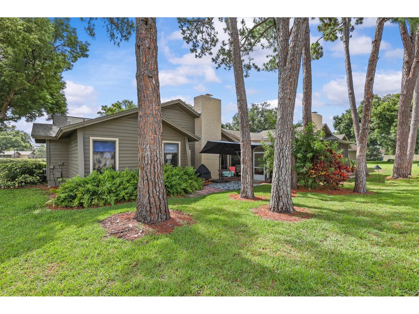 1315 Westlake Boulevard Palm Harbor FL 34683 TB8513223 image34