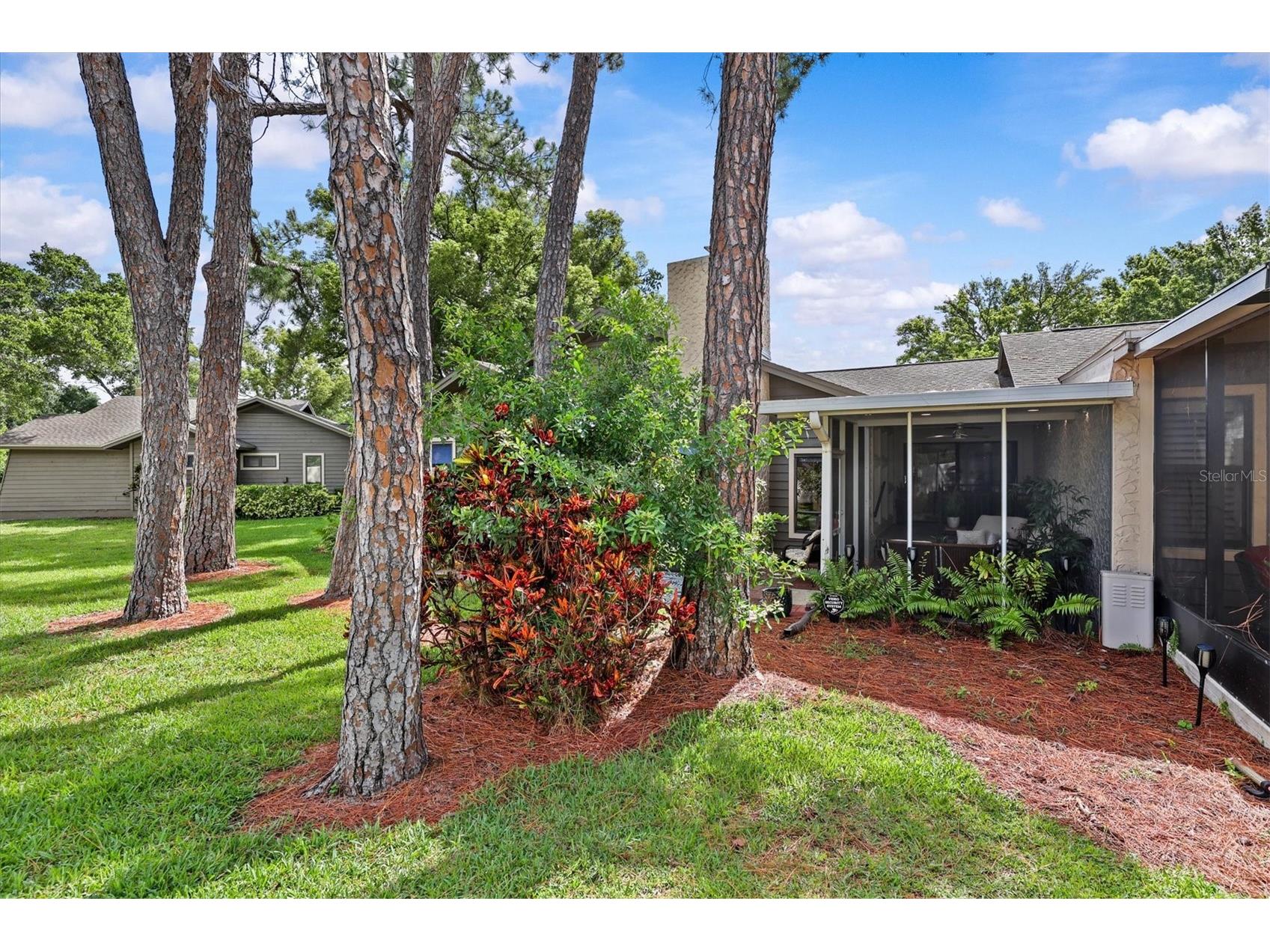 1315 Westlake Boulevard Palm Harbor FL 34683 TB8513223 image35