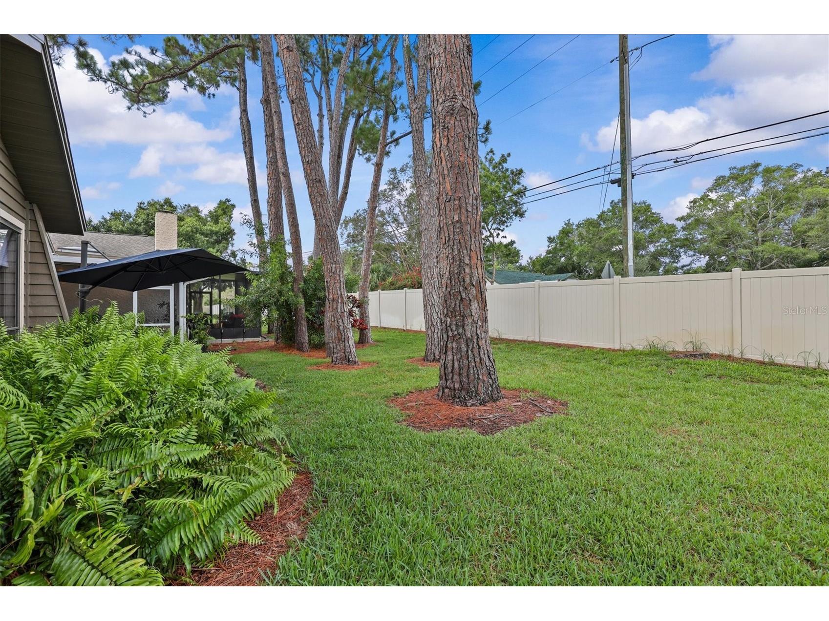 1315 Westlake Boulevard Palm Harbor FL 34683 TB8513223 image36