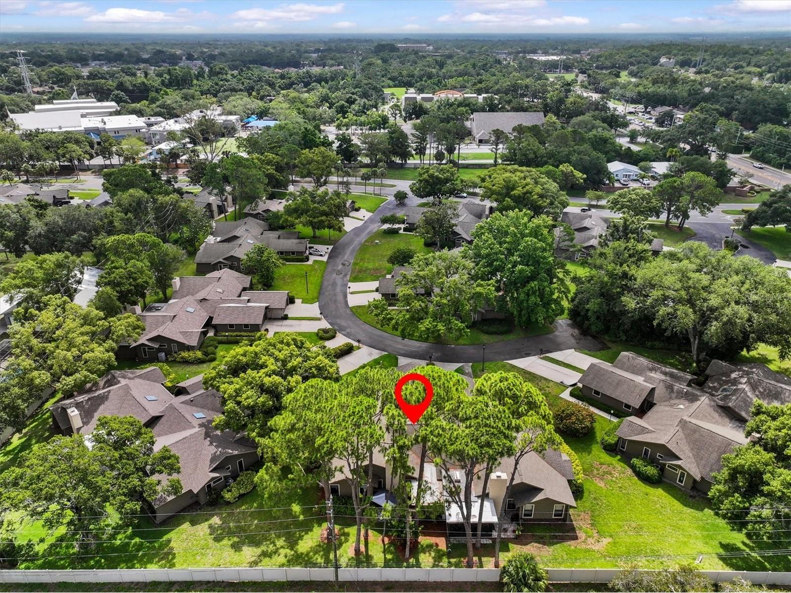 1315 Westlake Boulevard Palm Harbor FL 34683 TB8513223 image37