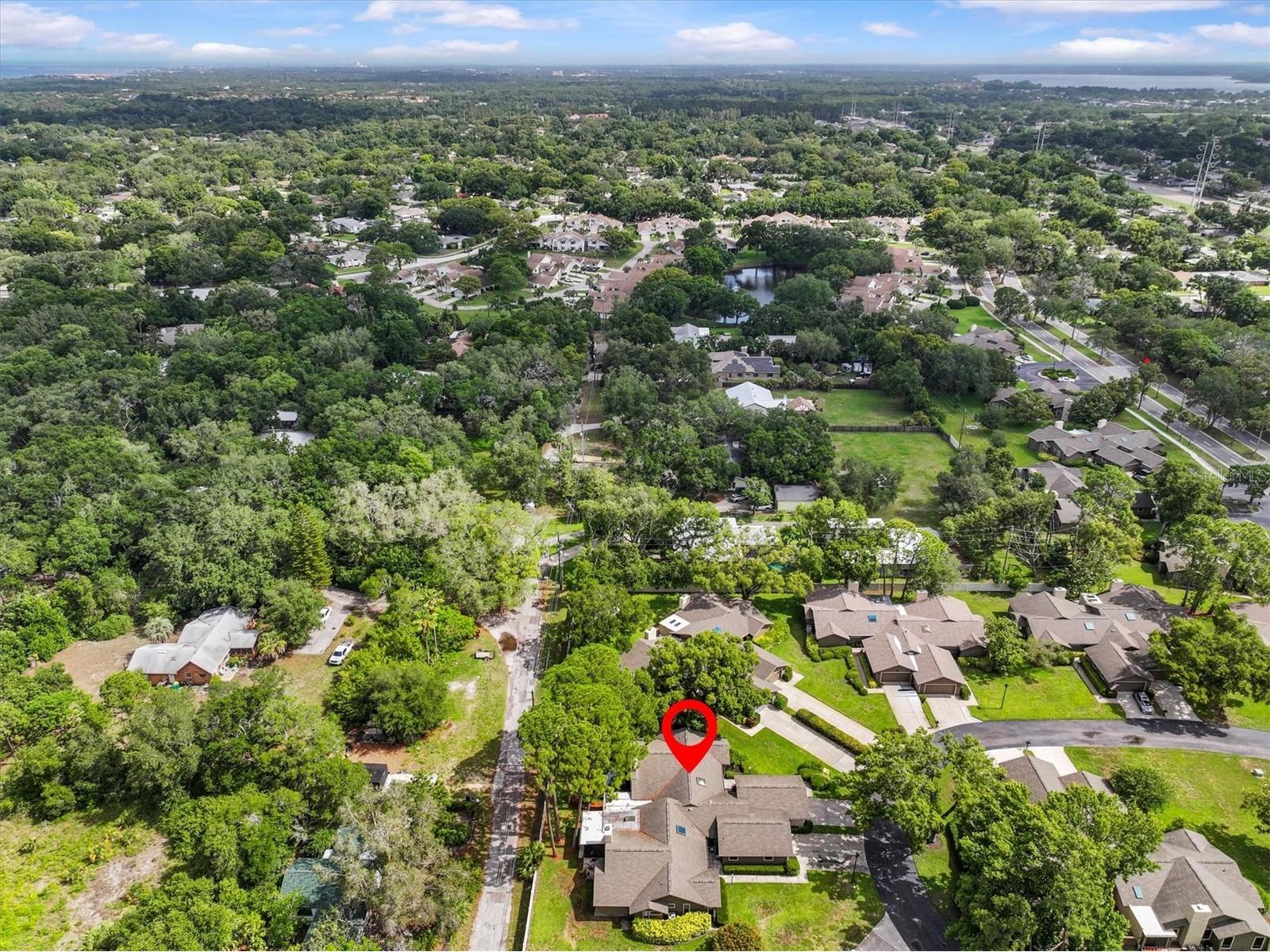 1315 Westlake Boulevard Palm Harbor FL 34683 TB8513223 image39
