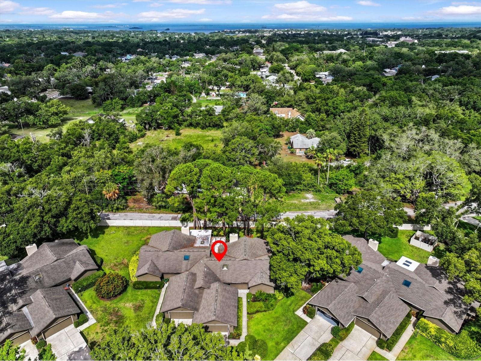1315 Westlake Boulevard Palm Harbor FL 34683 TB8513223 image4
