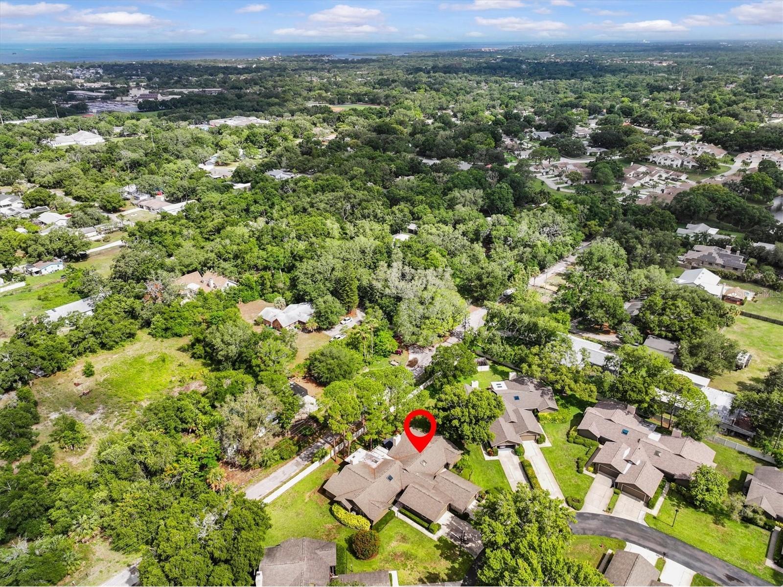 1315 Westlake Boulevard Palm Harbor FL 34683 TB8513223 image40
